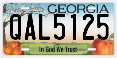 GA license plate QAL5125