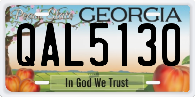 GA license plate QAL5130