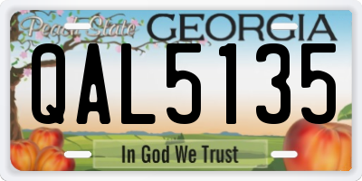 GA license plate QAL5135