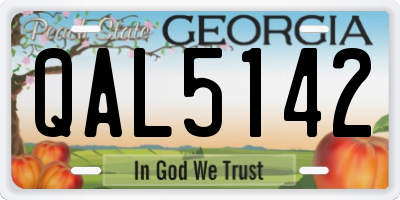 GA license plate QAL5142