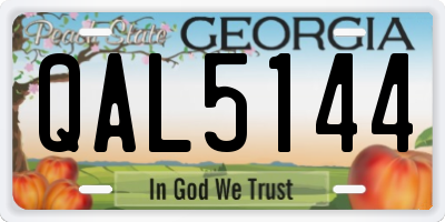 GA license plate QAL5144