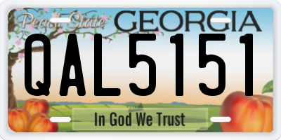 GA license plate QAL5151