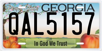 GA license plate QAL5157