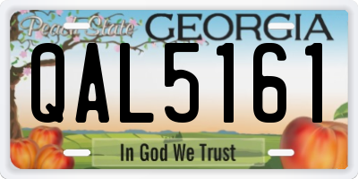 GA license plate QAL5161