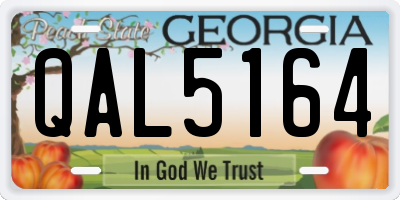 GA license plate QAL5164