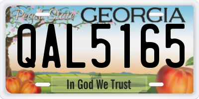 GA license plate QAL5165