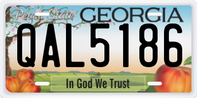 GA license plate QAL5186