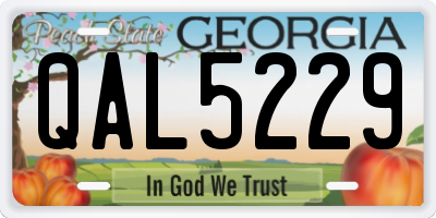 GA license plate QAL5229