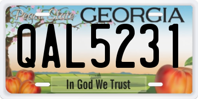 GA license plate QAL5231