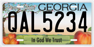 GA license plate QAL5234