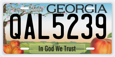 GA license plate QAL5239