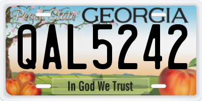 GA license plate QAL5242