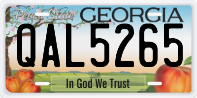 GA license plate QAL5265