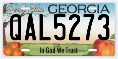 GA license plate QAL5273