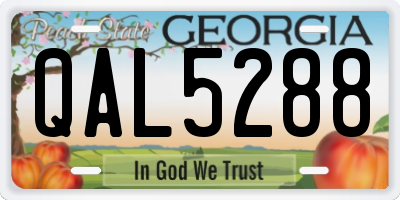 GA license plate QAL5288