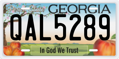 GA license plate QAL5289