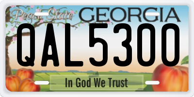 GA license plate QAL5300