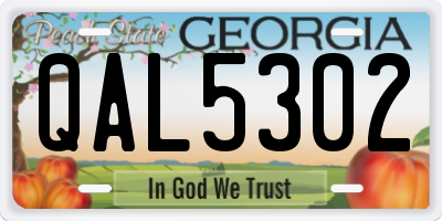 GA license plate QAL5302