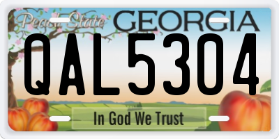 GA license plate QAL5304