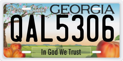 GA license plate QAL5306