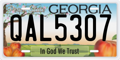 GA license plate QAL5307