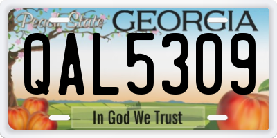 GA license plate QAL5309