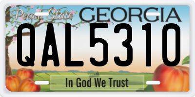 GA license plate QAL5310