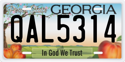 GA license plate QAL5314