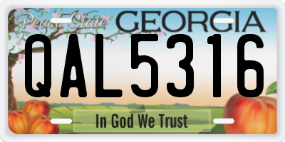 GA license plate QAL5316