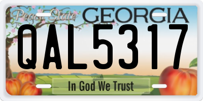 GA license plate QAL5317