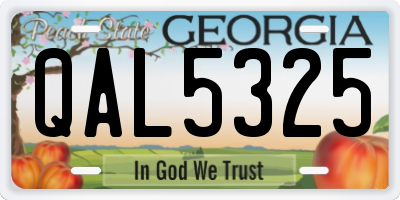 GA license plate QAL5325