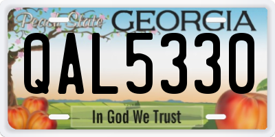 GA license plate QAL5330