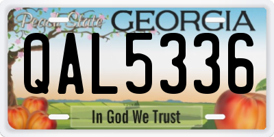 GA license plate QAL5336