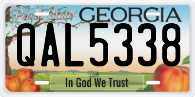 GA license plate QAL5338