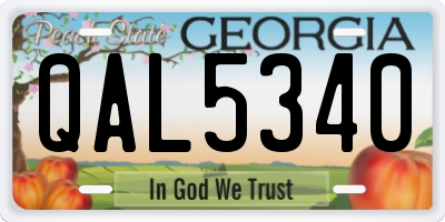 GA license plate QAL5340