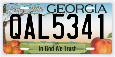 GA license plate QAL5341