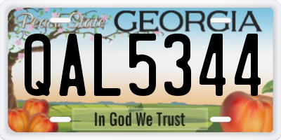 GA license plate QAL5344