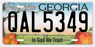 GA license plate QAL5349