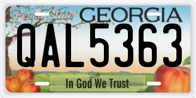 GA license plate QAL5363