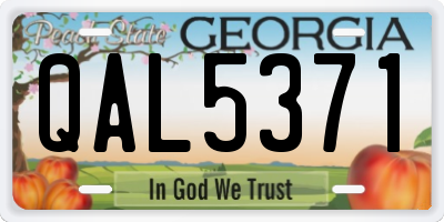 GA license plate QAL5371