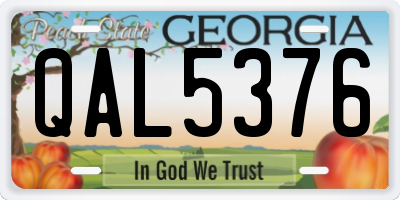 GA license plate QAL5376