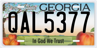 GA license plate QAL5377