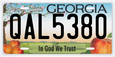 GA license plate QAL5380