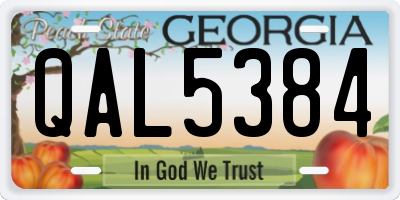 GA license plate QAL5384