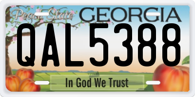 GA license plate QAL5388