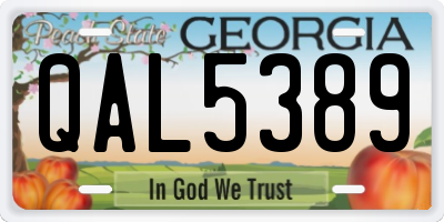 GA license plate QAL5389