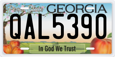 GA license plate QAL5390