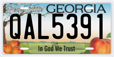 GA license plate QAL5391