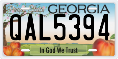 GA license plate QAL5394