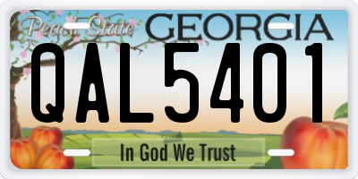 GA license plate QAL5401